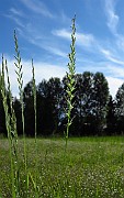 IMG_9557
