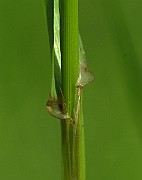 IMG_9559
