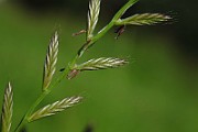 IMG_9562