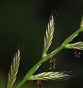 IMG_9563