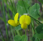 IMG_5581