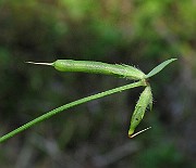 IMG_5584