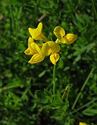 IMG_5593