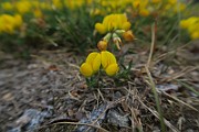 IMG_7051