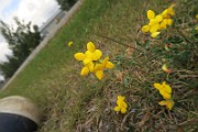 IMG_7057