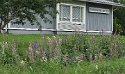 IMG_1733