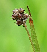 IMG_6584