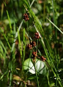 IMG_9872