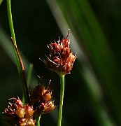 IMG_9873