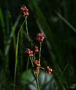 IMG_9875