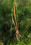 IMG_5543