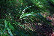 IMG_2483