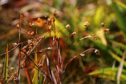 IMG_6272
