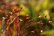 IMG_6273