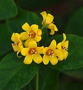 IMG_0627