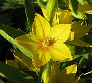 IMG_3821