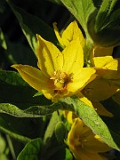 IMG_3823
