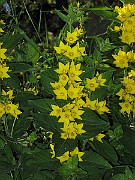 IMG_3828