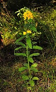 IMG_1560