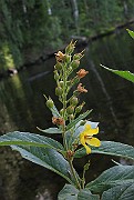IMG_3186