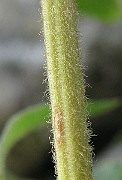 IMG_3190