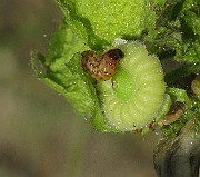 IMG_4770