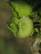 IMG_4771