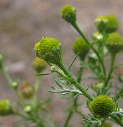 IMG_9356