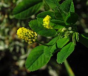 IMG_3849