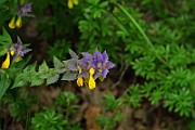 IMG_0645