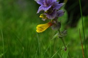 IMG_0646