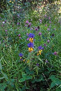 IMG_2543