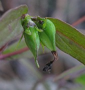 IMG_7302b