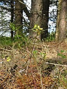 IMG_7303