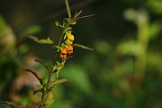 IMG_5928