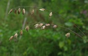 IMG_2575