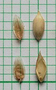 IMG_5056b