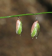 IMG_7057