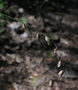 IMG_7058