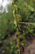 IMG_0172