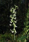 IMG_5623