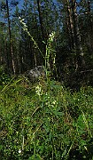 IMG_5634