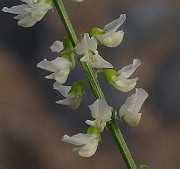 IMG_9386