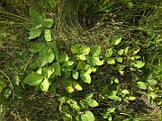 IMG_5618