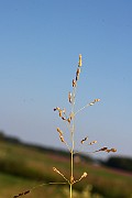 IMG_6024