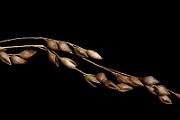 IMG_6084