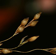 IMG_6086