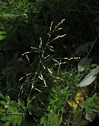 IMG_7704
