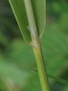 IMG_7710