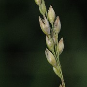 IMG_7712